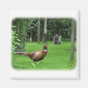 Katt och Pheasant Magnet