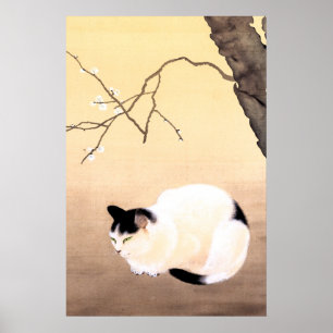 Katt- och plommonBlommar - Hishida Shunso Poster