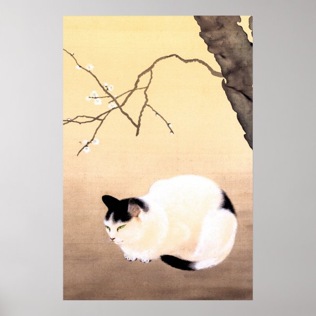 Katt- och plommonBlommar - Hishida Shunso Poster (Framsidan)