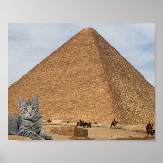 Katt och pyramid. poster (Framsidan)
