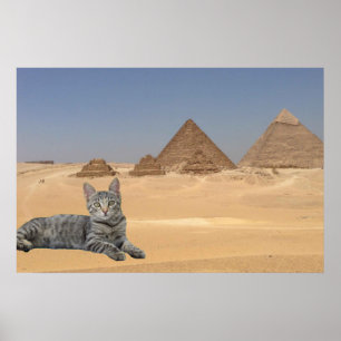 Katt och pyramid. poster
