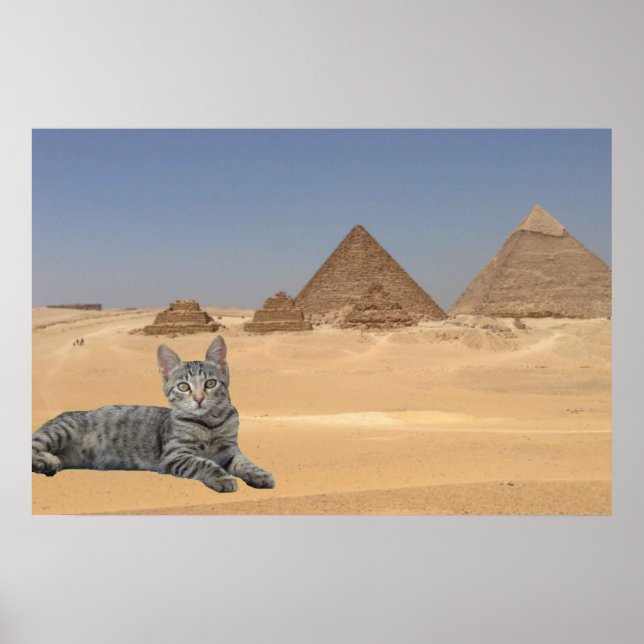 Katt och pyramid. poster (Framsidan)