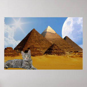 Katt och pyramid. poster