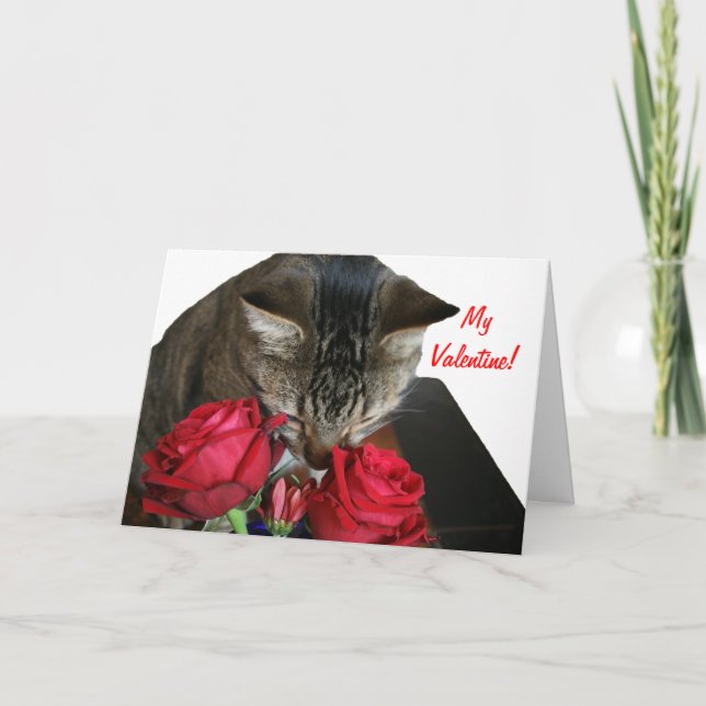 Katt och Ro Valentine Card Helgkort (Framsida)