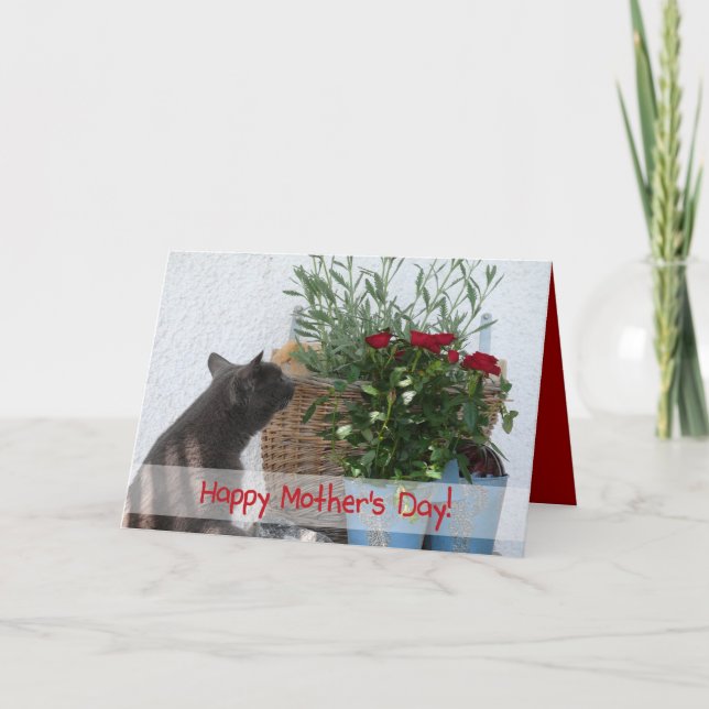 Katt- och rolyckligmors dag! kort (Framsida)