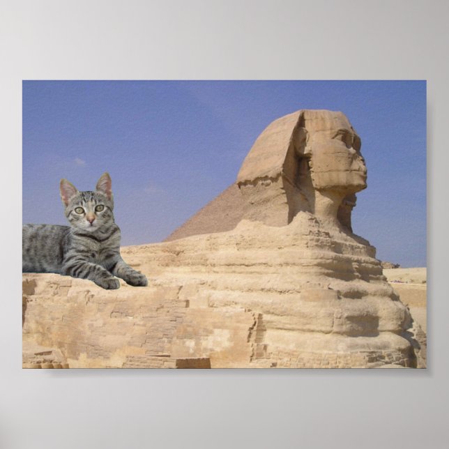 Katt och Sfinx. Poster (Framsidan)