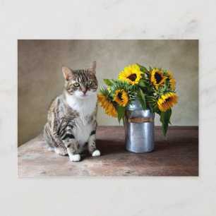 Katt och solblommor vykort