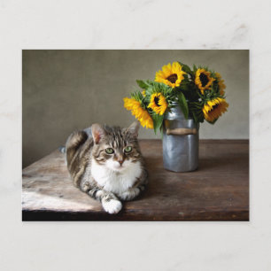 Katt och solblommor vykort