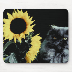 Katt och solros musmatta