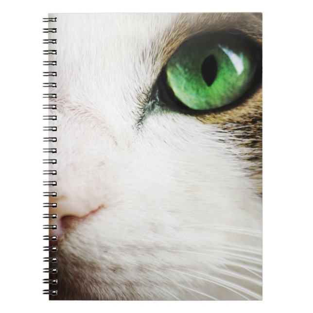 Katt öga anteckningsbok (Framsidan)