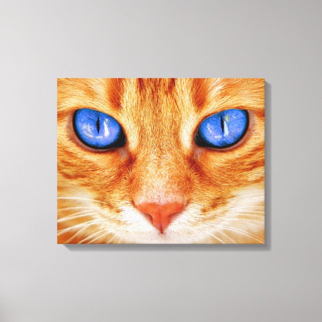 Katt ögon ansikte Tiger makrill röd katt Canvastryck (Framsida)