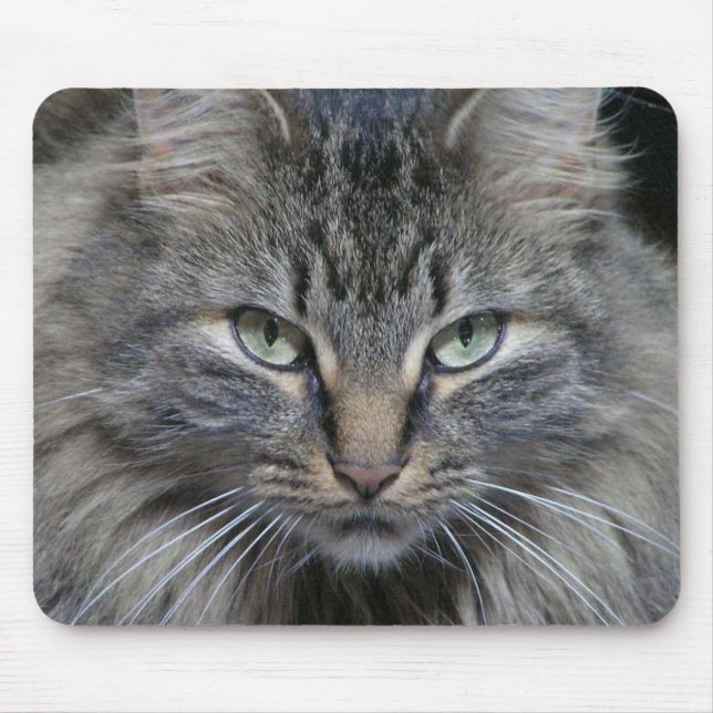 Katt Ögon har det Musmatta (Framsidan)