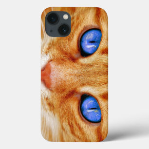 Katt ögon Katt ögon Ansikte Tiger Makrill Röd Katt