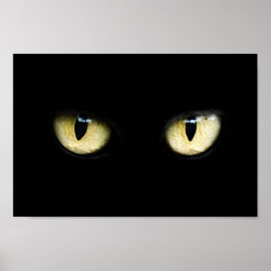 Katt ögon poster