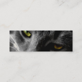 Katt ögon profilerar kort
