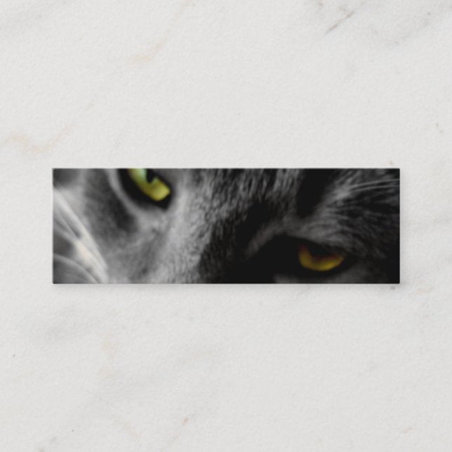 Katt ögon profilerar kort (Framsida)
