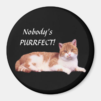 Katt Orange och vit magnet