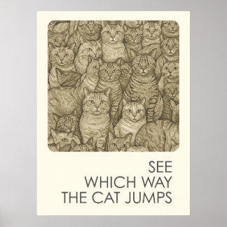 Katt - ordspråk poster