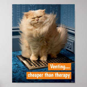 Katt över växt poster