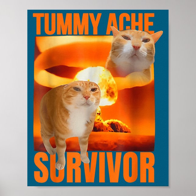 Katt överlevde magsmärta meme rolig text katter dj poster (Framsidan)