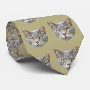 Katt på alla bakgrunder i färg slips