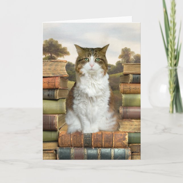 Katt på Bokar Kort (Framsida)