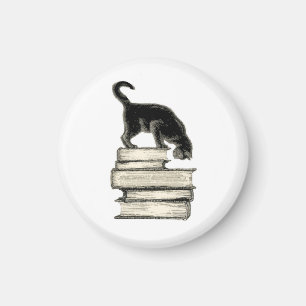 Katt på bokar magnet