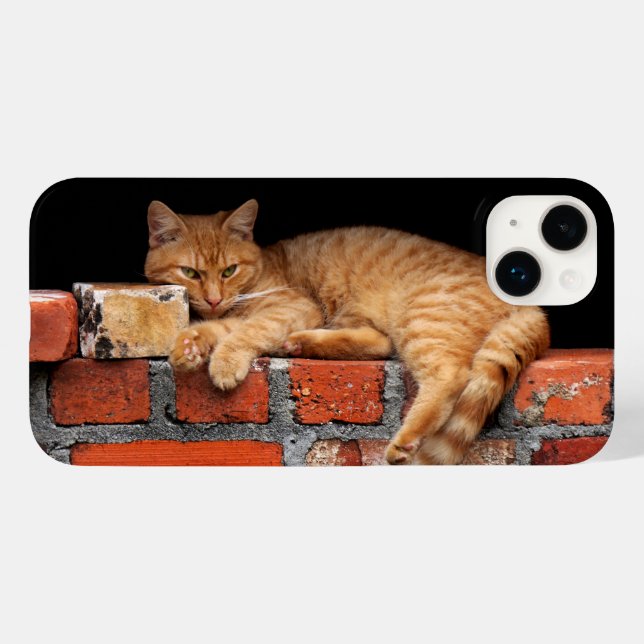 Katt på brickan (Baksida (horisontell))