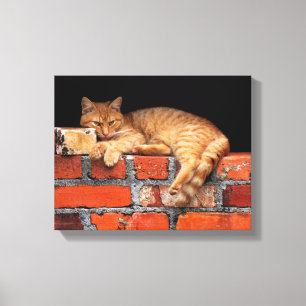 Katt på brickan canvastryck
