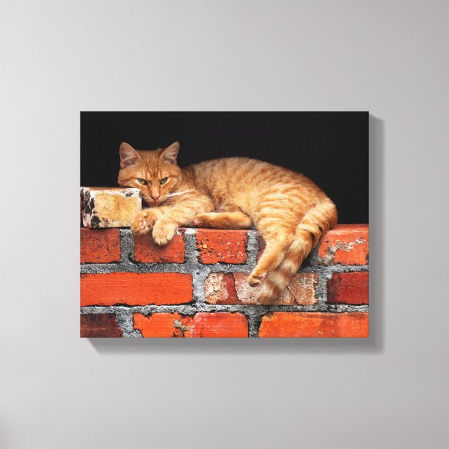 Katt på brickan canvastryck (Framsida)
