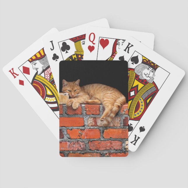 Katt på brickan kortlek (Baksidan)