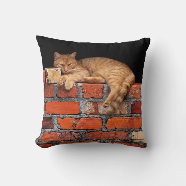 Katt på brickan kudde (Framsida)