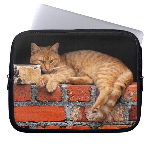 Katt på brickan laptop fodral (Framsidan)