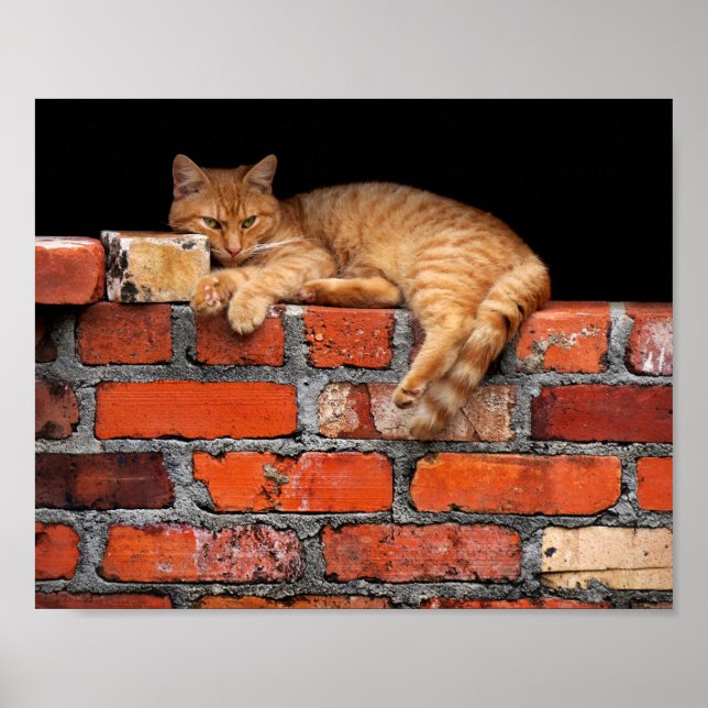 Katt på brickan poster (Framsidan)