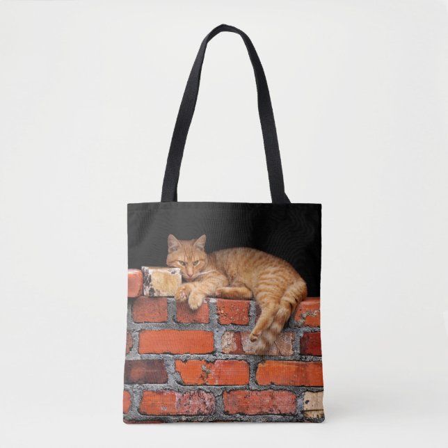 Katt på brickan tygkasse (Framsida)