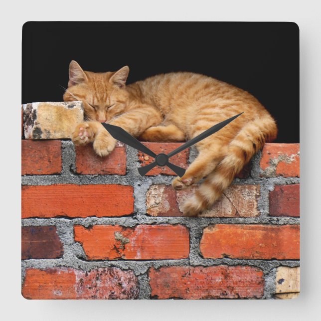 Katt på brickmuren fyrkantig klocka (Framsida)