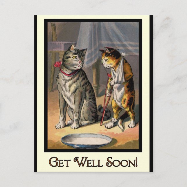 Katt på Crutches Vykort (Framsida)