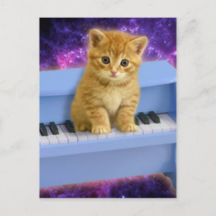 Katt på den blå pianot vykort