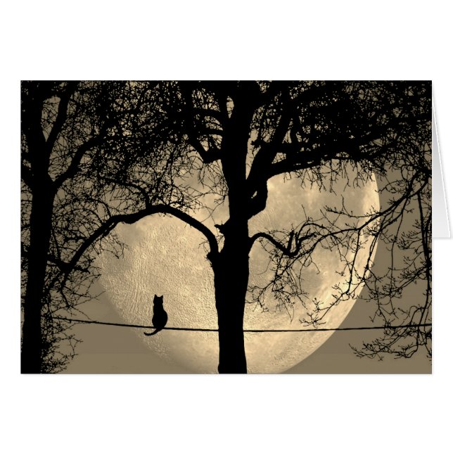 Katt på en hel tråg, fullt läge, tom insida hälsningskort (Framsidan Horizontal)