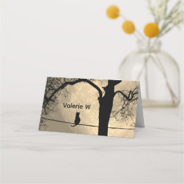 Katt på en hel tråg placeringskort