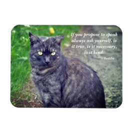 Katt på en promenad Motivational Buddhist Quote Magnet