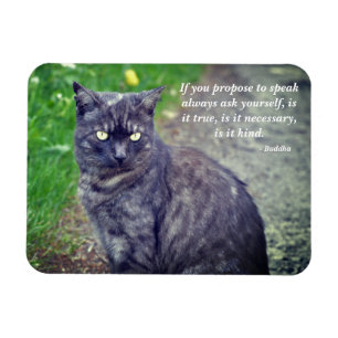 Katt på en promenad Motivational Buddhist Quote Magnet