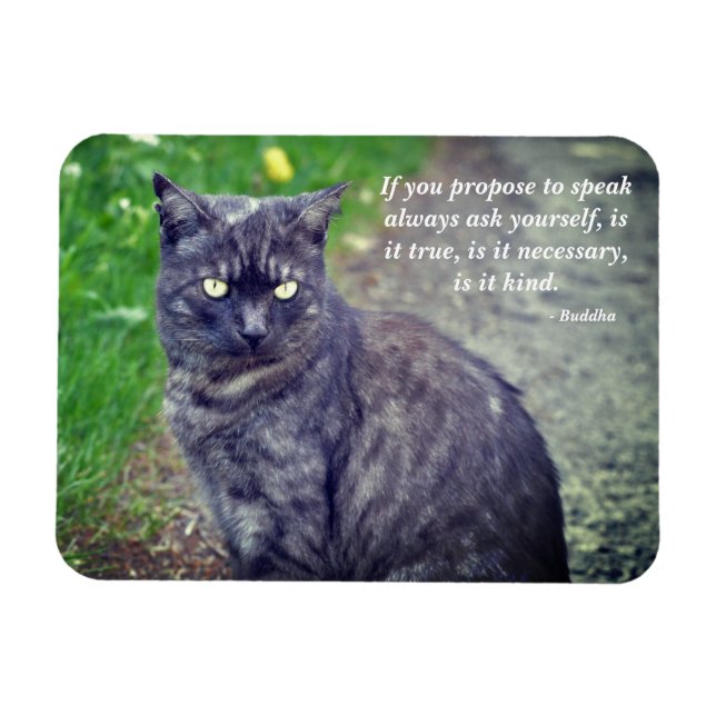 Katt på en promenad Motivational Buddhist Quote Magnet (Horisontell)