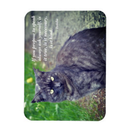 Katt på en promenad Motivational Buddhist Quote Magnet