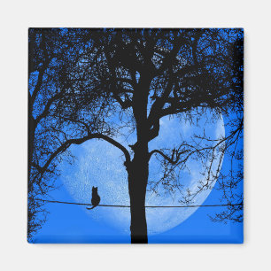 Katt på en Wire Blue Måne Magnet