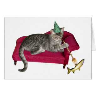 Katt på ett soffkort hälsningskort