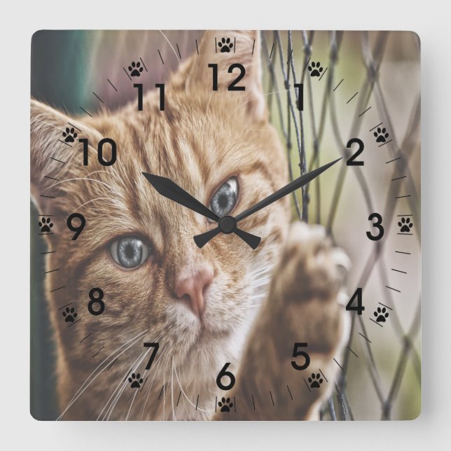 Katt på ett stängsel fyrkantig klocka (Framsida)