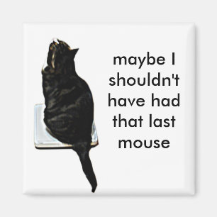 Katt på fjäll magnet