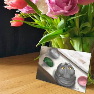 Katt på fönsterluckan vykort