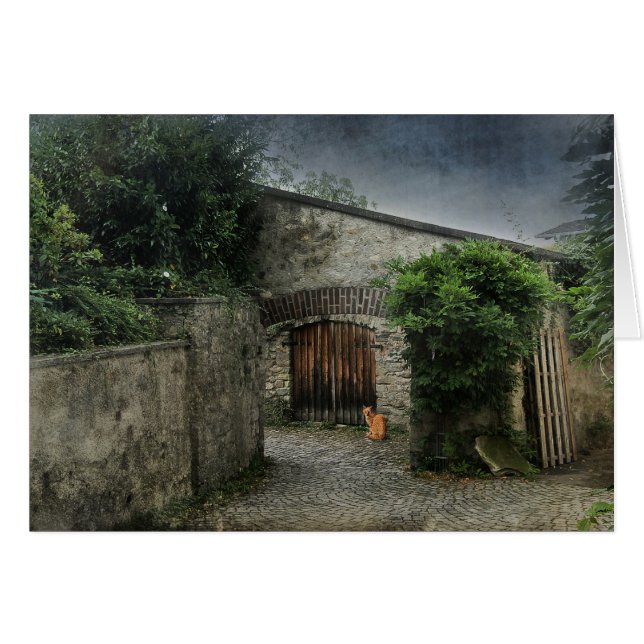 Katt på gård OBS kort (Framsidan Horizontal)